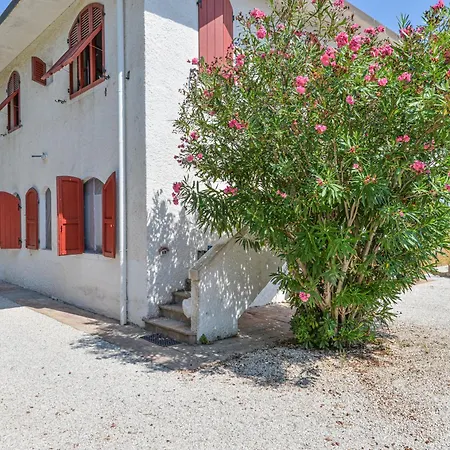 Elba Bellavista -- -- カーヴォ